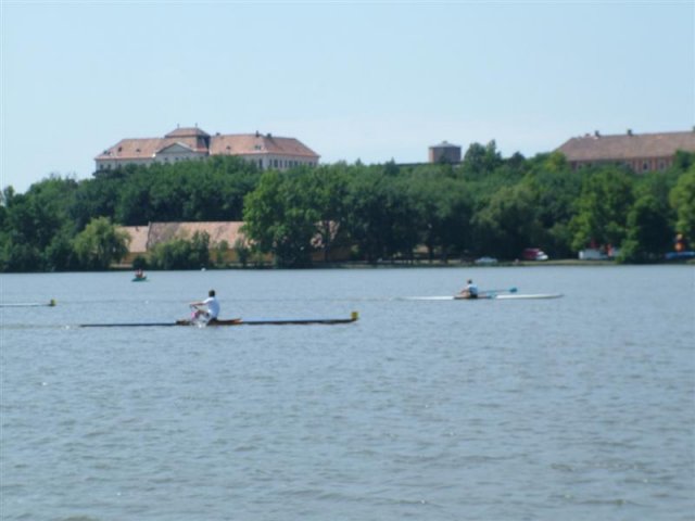 DSCF5104 (Medium)